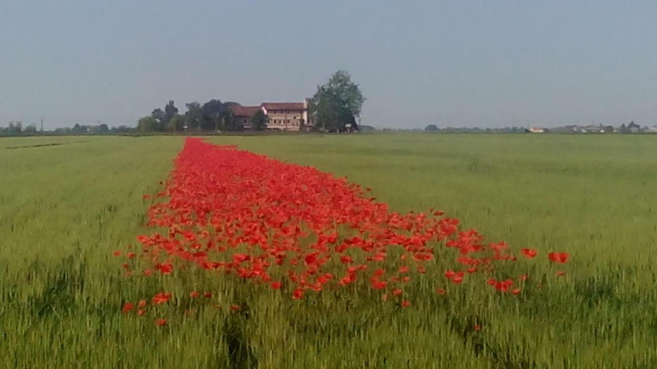 Appartamento Ca' Tiziana - Venice - Jesolo Musile di Piave Экстерьер фото
